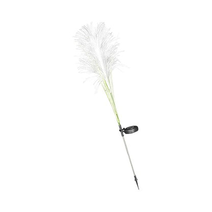 Lampe Solaire Extérieure Design Roseau – Éclairage Jardin LED